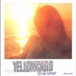 yellowcard_oceanavenueLP